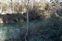 IMG_20211114_121325