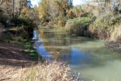 IMG_20211114_122048