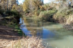 IMG_20211114_122049