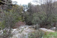 Arroyo-Martin-Perez-10