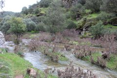 Arroyo-Martin-Perez-4