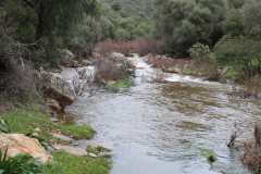 Arroyo-Martin-Perez-5