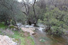 Arroyo-Martin-Perez-6