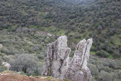 Arroyo-Martin-Perez-7