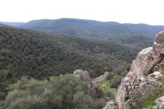 Arroyo-Martin-Perez-8