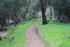 Arroyo-Martin-Perez-9