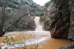 250315-El-Negrillo-10