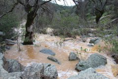 250315-El-Negrillo-11