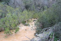 250315-El-Negrillo-13