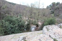 250315-El-Negrillo-14