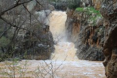 250315-El-Negrillo-8