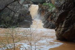 250315-El-Negrillo-9