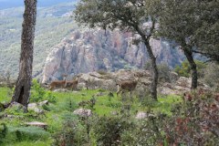 Mirador-Cerro-del-Castillo-y-Cueva-de-los-Munecos-10