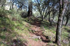 Mirador-Cerro-del-Castillo-y-Cueva-de-los-Munecos-15