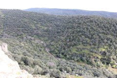 250315-Mirador-del-desfiladero-2