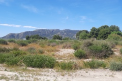 20210515_112354