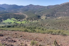 220415-rocigalgo-1