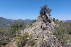 220415-rocigalgo-11