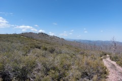 220415-rocigalgo-14