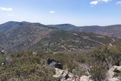 220415-rocigalgo-16