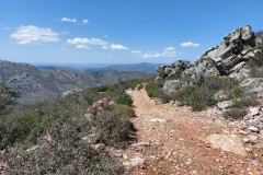 220415-rocigalgo-18