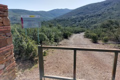 220415-rocigalgo-2