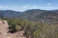 220415-rocigalgo-20