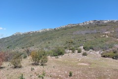 220415-rocigalgo-21