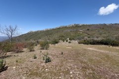 220415-rocigalgo-22