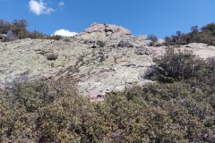 220415-rocigalgo-23