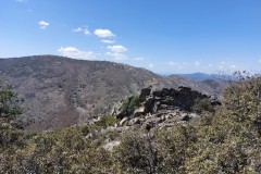 220415-rocigalgo-24