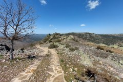 220415-rocigalgo-26