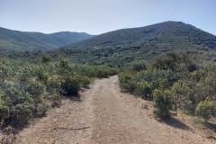 220415-rocigalgo-3