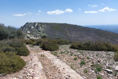 220415-rocigalgo-33