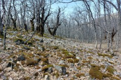 220415-rocigalgo-48