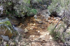 220415-rocigalgo-51