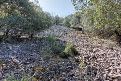 220415-rocigalgo-6