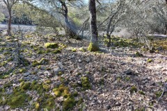 220415-rocigalgo-7