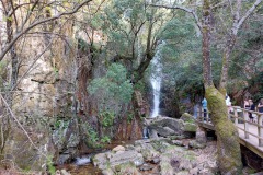 220415-rocigalgo-87