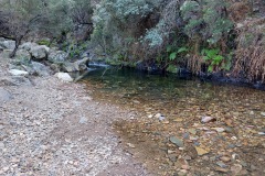 220415-rocigalgo-97