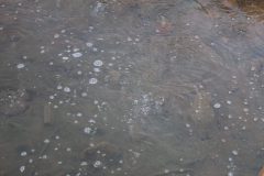 210116-Banos-del-Emperador-Mujeres-1