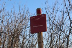210116-Banos-del-Emperador-Carteles-2