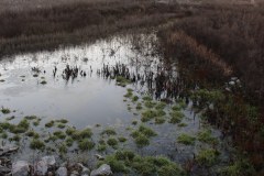 210116-Banos-del-Emperador-Otros-1