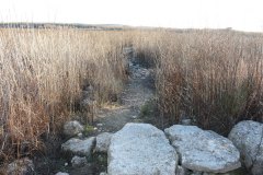 210116-Banos-del-Emperador-Otros-4