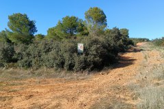 240118-Alcolea-1