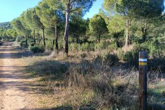 240118-Alcolea-5