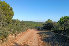 240118-Alcolea-7