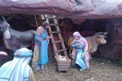 IMG20241123172826