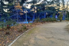 IMG20241123173647