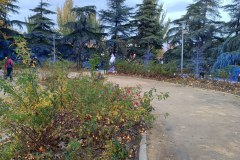 IMG20241123173652